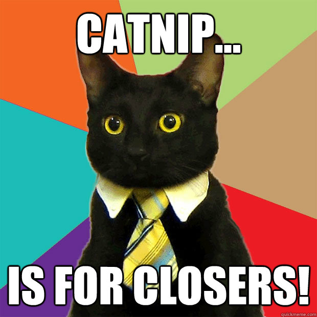 Catnip... Is for closers!  Business Cat