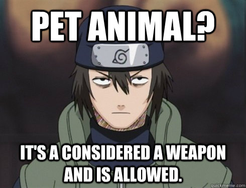 Pet Animal? It's a considered a weapon and is allowed. - Pet Animal? It's a considered a weapon and is allowed.  Chunin Exam Hayate