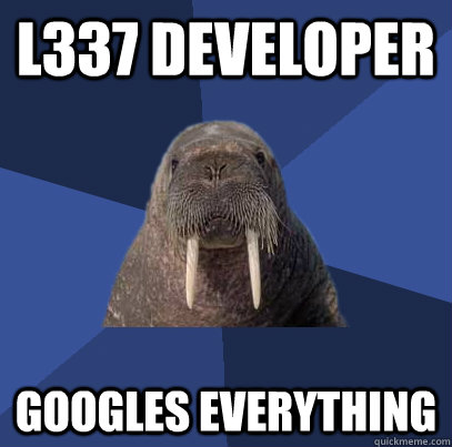 l337 developer googles everything  Web Developer Walrus