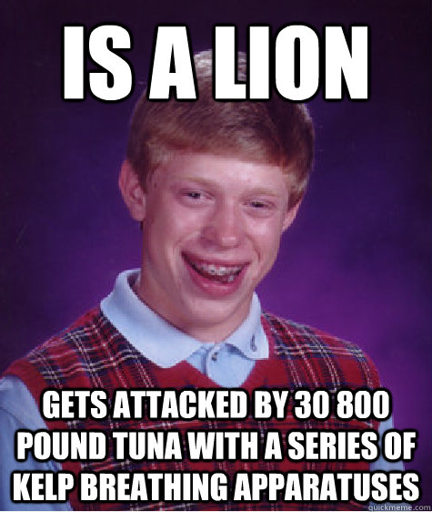 is a lion gets attacked by 30 800 pound tuna with a series of kelp breathing apparatuses   Bad Luck Brian