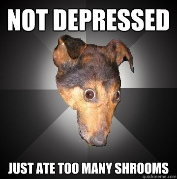 NOT DEPRESSED JUST ATE TOO MANY SHROOMS  Depression Dog