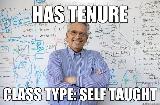 Has Tenure Class Type: Self Taught  Engineering Professor