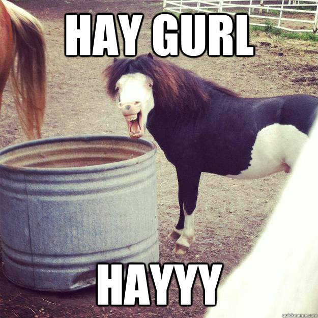 Hay Gurl hayyy - Hay Gurl hayyy  Misc