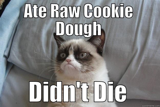 ATE RAW COOKIE DOUGH DIDN'T DIE Grumpy Cat