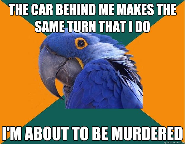 The car behind me makes the same turn that I do I'm about to be murdered  Paranoid Parrot