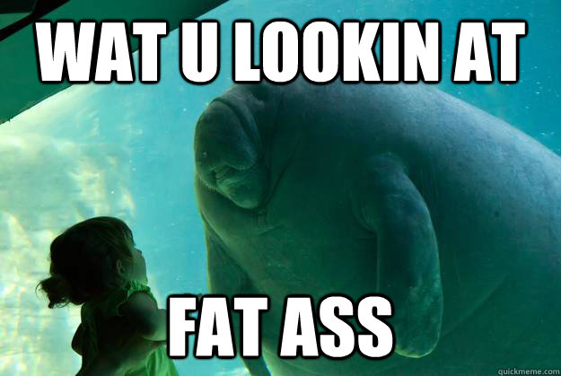 wat u lookin at  fat ass - wat u lookin at  fat ass  Overlord Manatee