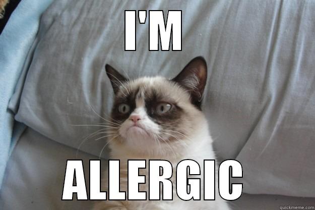 I'M ALLERGIC Grumpy Cat