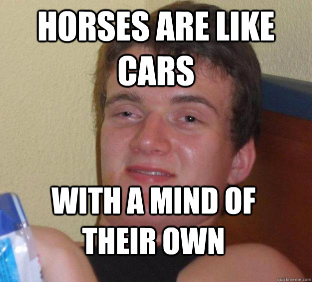 Horses are like cars with a mind of their own  10 Guy