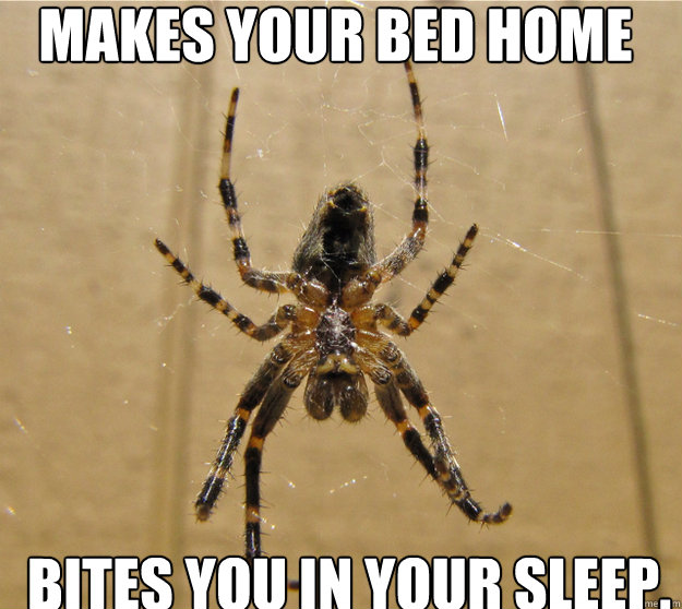 makes your bed home bites you in your sleep.   