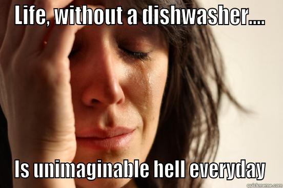 LIFE, WITHOUT A DISHWASHER.... IS UNIMAGINABLE HELL EVERYDAY First World Problems