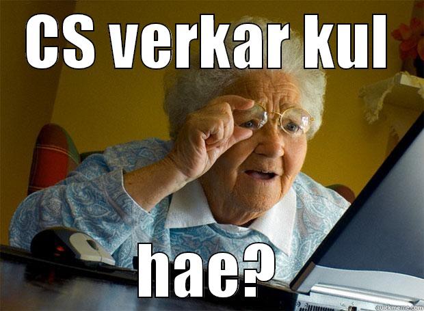 CS VERKAR KUL HAE? Grandma finds the Internet