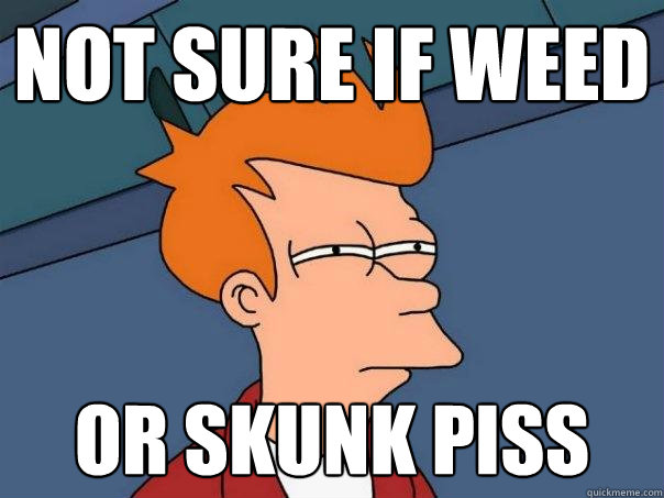 not sure if weed or skunk piss - not sure if weed or skunk piss  Futurama Fry