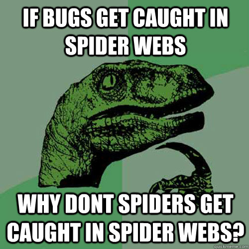 if bugs get caught in spider webs Why dont spiders get caught in spider webs? - if bugs get caught in spider webs Why dont spiders get caught in spider webs?  Philosoraptor