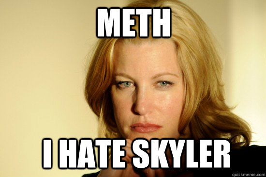 METH i hate skyler - METH i hate skyler  Skyler White