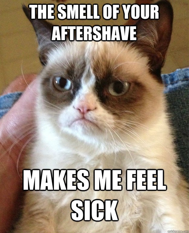 the smell of your aftershave makes me feel sick  Grumpy Cat