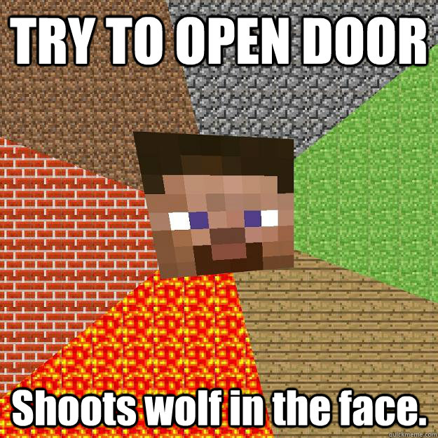 TRY TO OPEN DOOR Shoots wolf in the face.  Minecraft