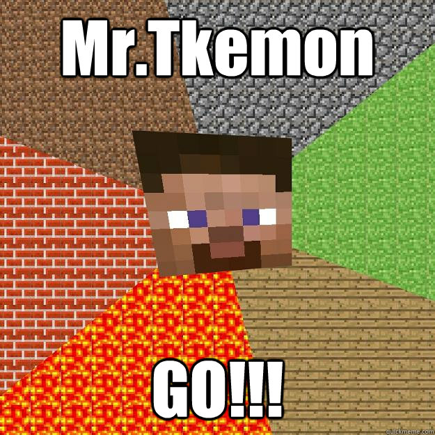 Mr.Tkemon GO!!!  Minecraft