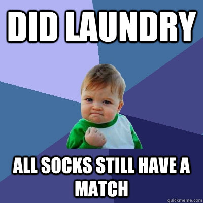 Did laundry all socks still have a match  Success Kid