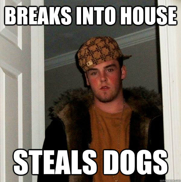 Breaks into house steals dogs - Breaks into house steals dogs  Scumbag Steve