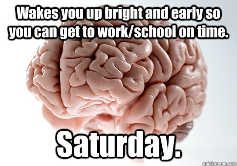 Wakes you up bright and early so you can get to work/school on time. Saturday. - Wakes you up bright and early so you can get to work/school on time. Saturday.  Scumbag Brain