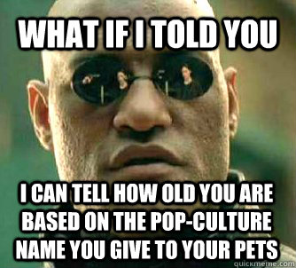 WHAT IF I TOLD YOU I can tell how old you are based on the pop-culture name you give to your pets  What if I told you