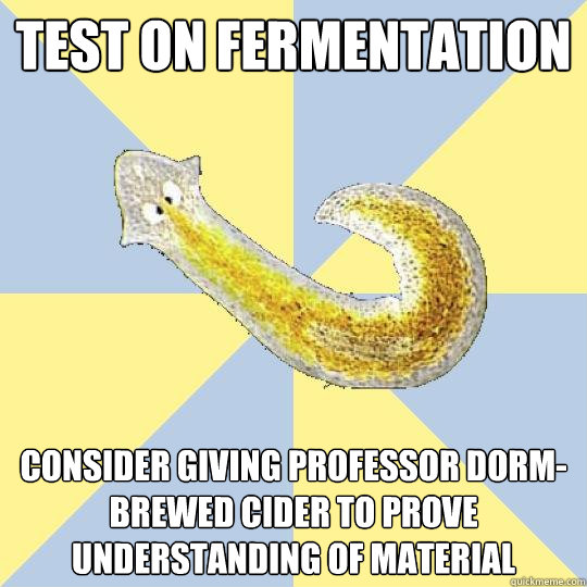 Test on fermentation Consider giving professor dorm-brewed cider to prove understanding of material  Bio Major Planarian