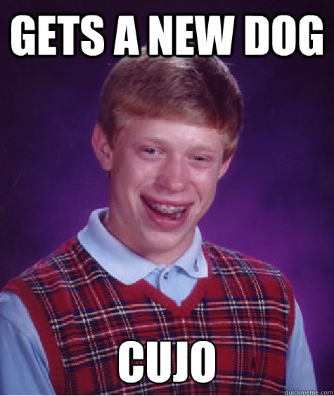 Gets a new dog cujo  Bad Luck Brian