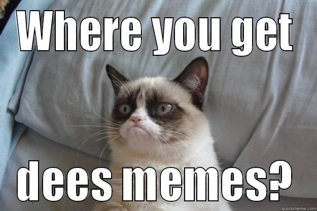 Where you getting these? - WHERE YOU GET DEES MEMES? Grumpy Cat