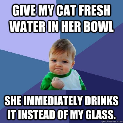 Give my cat fresh water in her bowl She immediately drinks it instead of my glass. - Give my cat fresh water in her bowl She immediately drinks it instead of my glass.  Success Kid