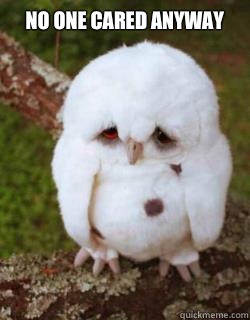 No one cared anyway   Sad Owl