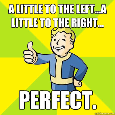 A little to the left...a little to the right... Perfect.  Fallout new vegas