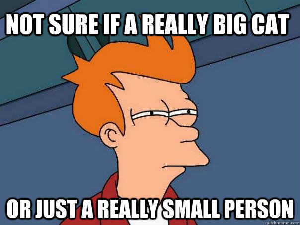 not sure if a really big cat or just a really small person  Futurama Fry