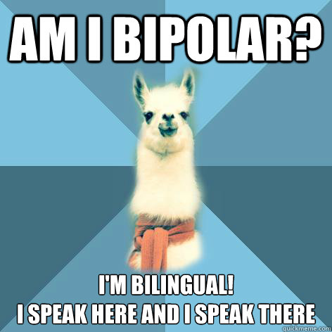 Am I bipolar? I'm bilingual!
I speak here and i speak there  Linguist Llama