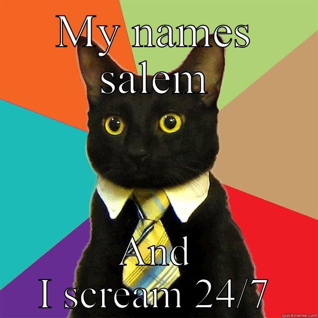 MY NAMES SALEM AND I SCREAM 24/7 Business Cat