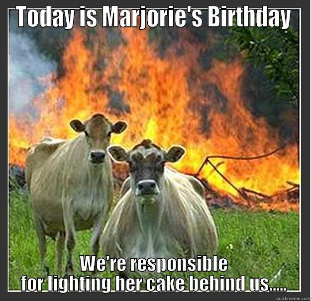 Cake Police Cows - TODAY IS MARJORIE'S BIRTHDAY WE'RE RESPONSIBLE FOR LIGHTING HER CAKE BEHIND US..... Evil cows