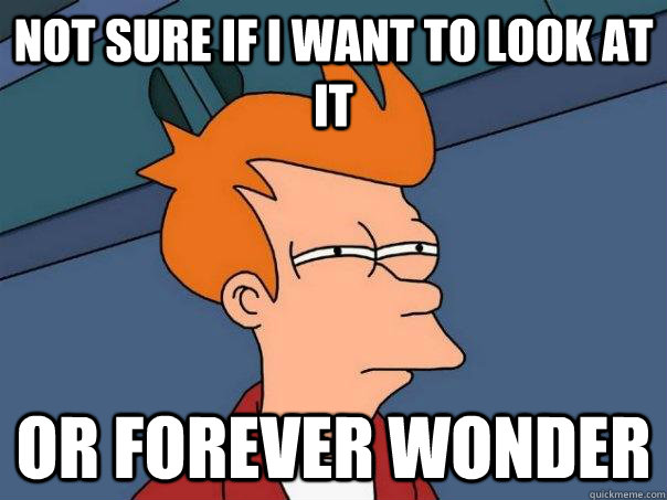 Not sure if I want to look at it Or forever wonder  Futurama Fry