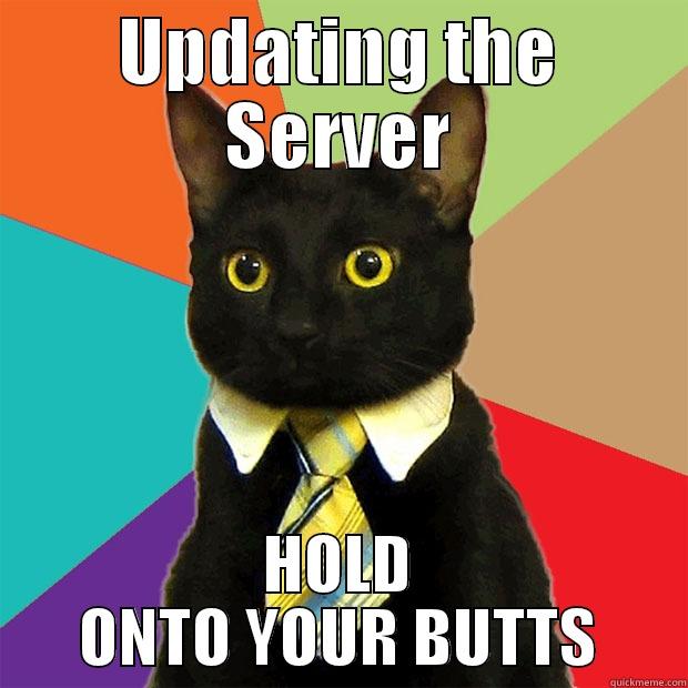 UPDATING THE SERVER HOLD ONTO YOUR BUTTS Business Cat