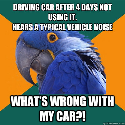 Driving car after 4 days not using it.
hears a typical vehicle noise what's wrong with my car?! - Driving car after 4 days not using it.
hears a typical vehicle noise what's wrong with my car?!  Paranoid Parrot