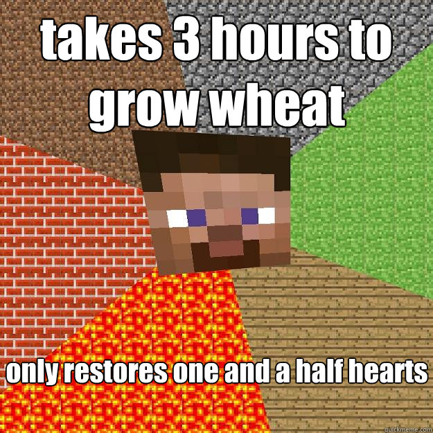 takes 3 hours to grow wheat only restores one and a half hearts - takes 3 hours to grow wheat only restores one and a half hearts  Minecraft