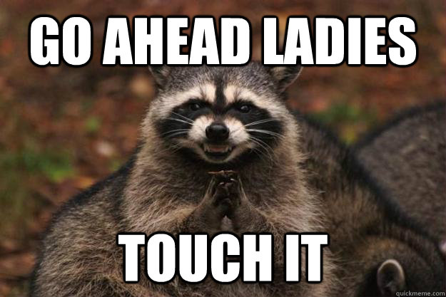 Go ahead ladies touch it - Go ahead ladies touch it  Evil Plotting Raccoon