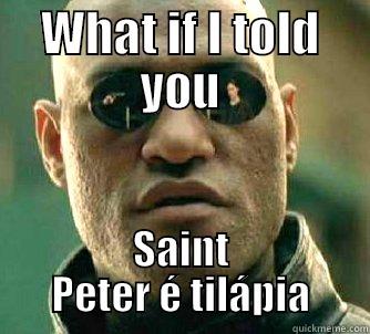 WHAT IF I TOLD YOU SAINT PETER É TILÁPIA Matrix Morpheus