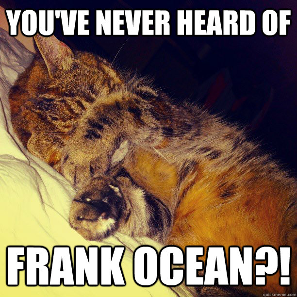 YOU'VE NEVER HEARD OF FRANK OCEAN?!  Frustration Cat