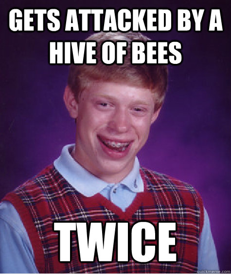 gets attacked by a hive of bees twice - gets attacked by a hive of bees twice  Bad Luck Brian