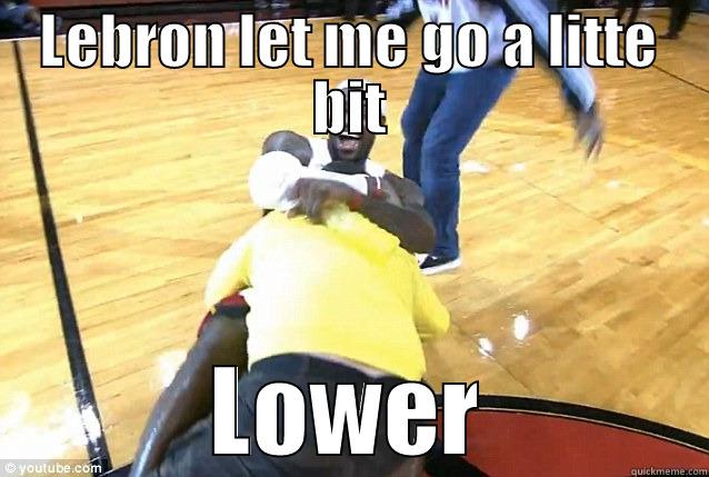 LEBRON LET ME GO A LITTE BIT LOWER Misc