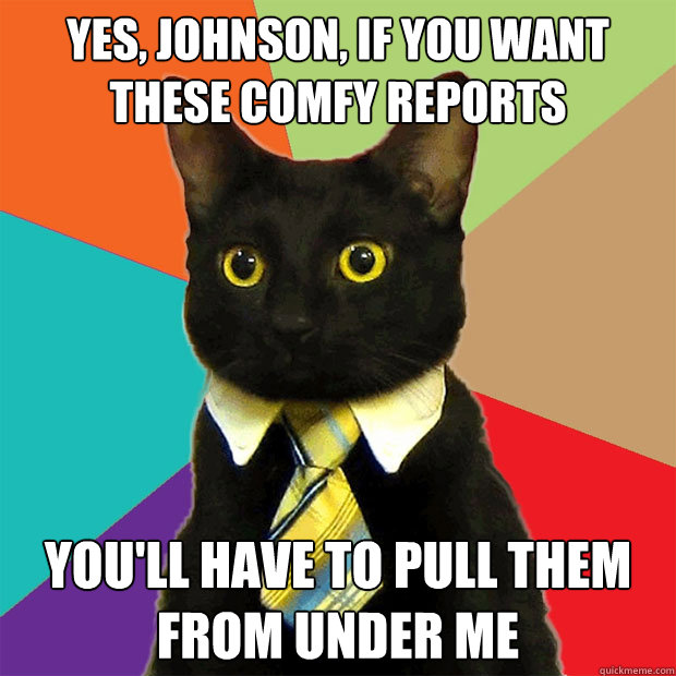 Yes, Johnson, if you want these comfy reports you'll have to pull them from under me  Business Cat