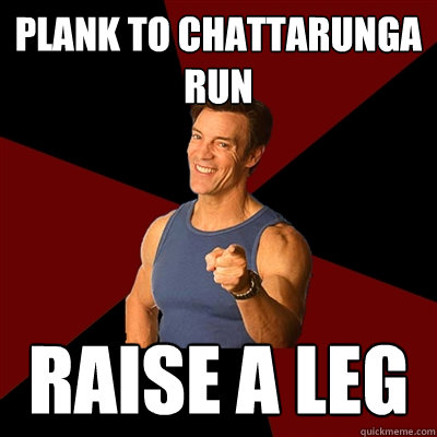 Plank to chattarunga run raise a leg - Plank to chattarunga run raise a leg  Tony Horton Meme