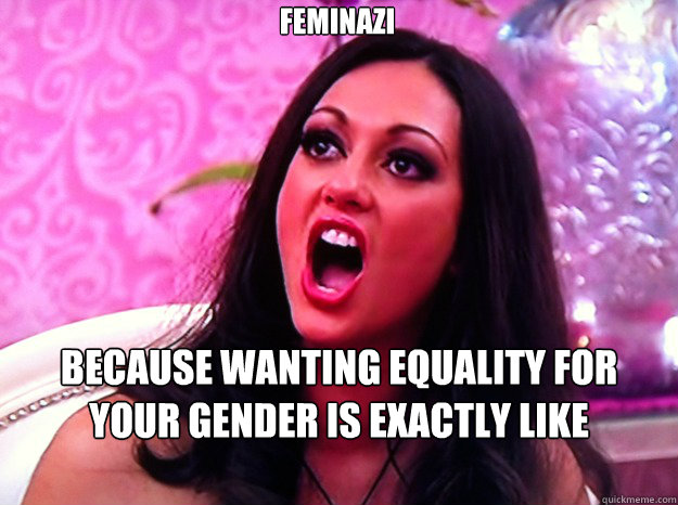 Feminazi Because wanting equality for your gender is exactly like invading Poland.  Feminist Nazi