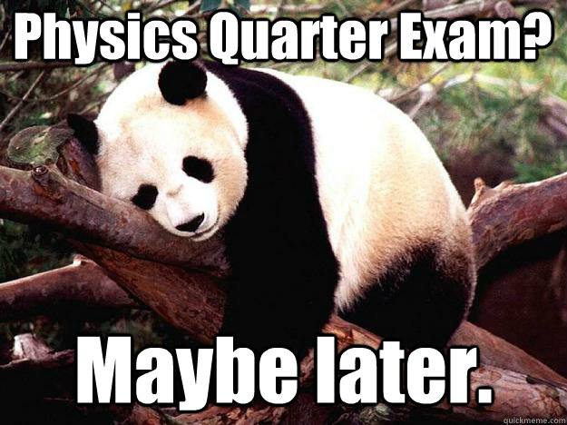 Physics Quarter Exam? Maybe later.  Procrastination Panda