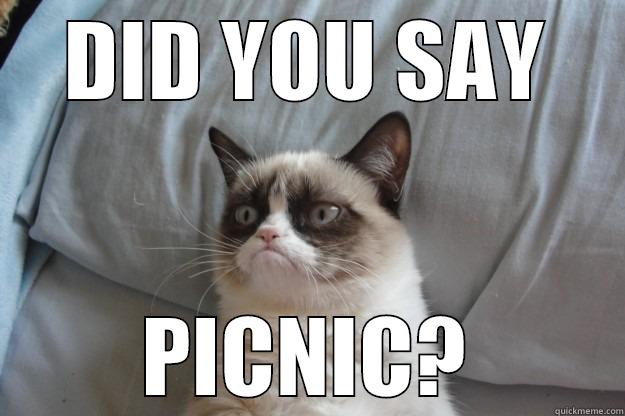 grumpy picnic - DID YOU SAY PICNIC? Grumpy Cat