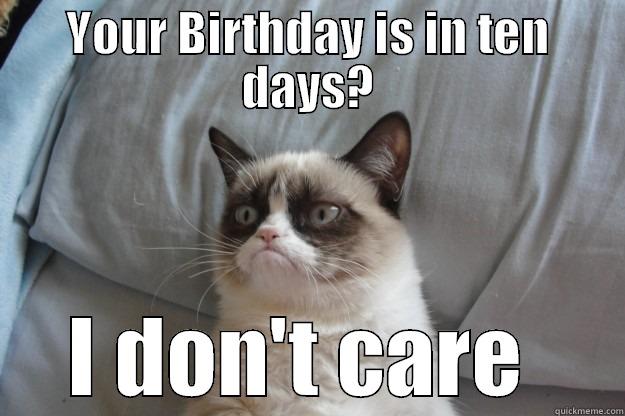 YOUR BIRTHDAY IS IN TEN DAYS? I DON'T CARE  Grumpy Cat